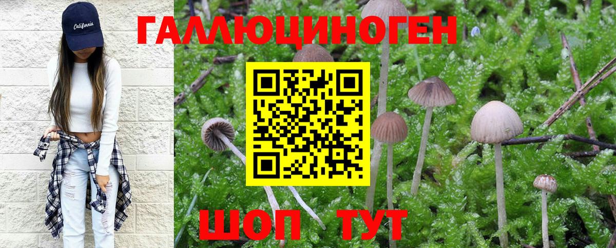 Псилоцибиновые грибы Psilocybe  Вход с VPN  Псилоцибиновые грибы прущие грибы  Новошахтинск 